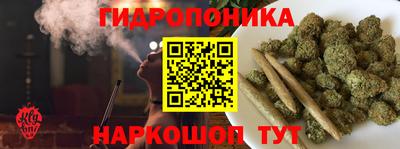 шишки Гусь-Хрустальный